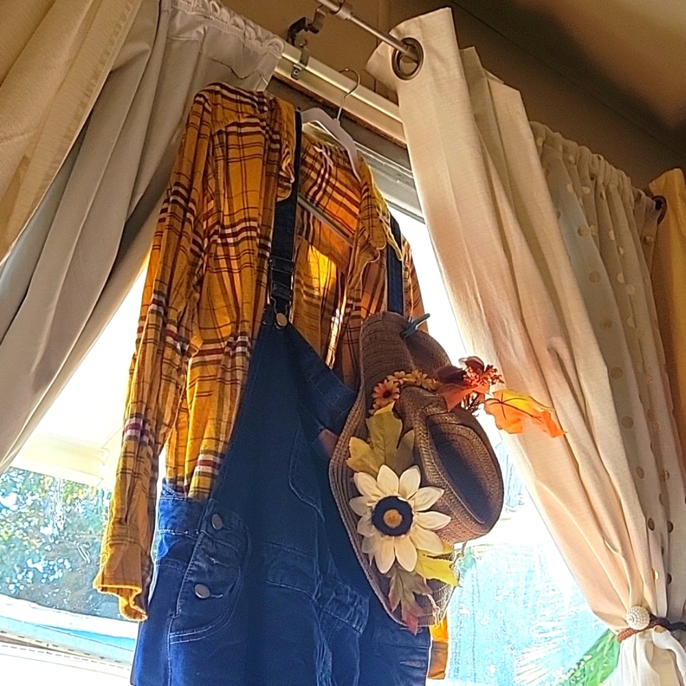 Cute fall/scarecrow outfit